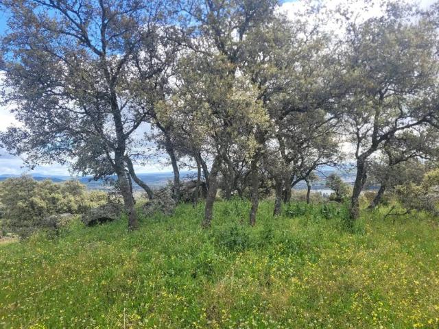 Terreno en venta en Toledo