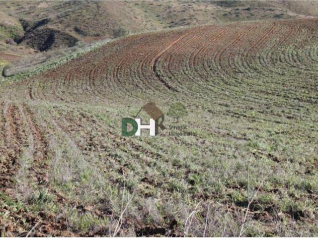 Terreno en venta en Toledo, Castilla-La Mancha