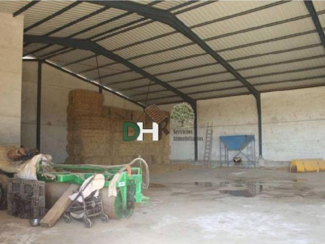 Terreno en venta en Toledo, Castilla-La Mancha