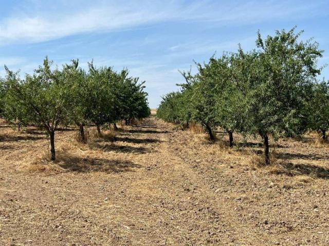 Terreno en venta en Toledo, Castilla-La Mancha