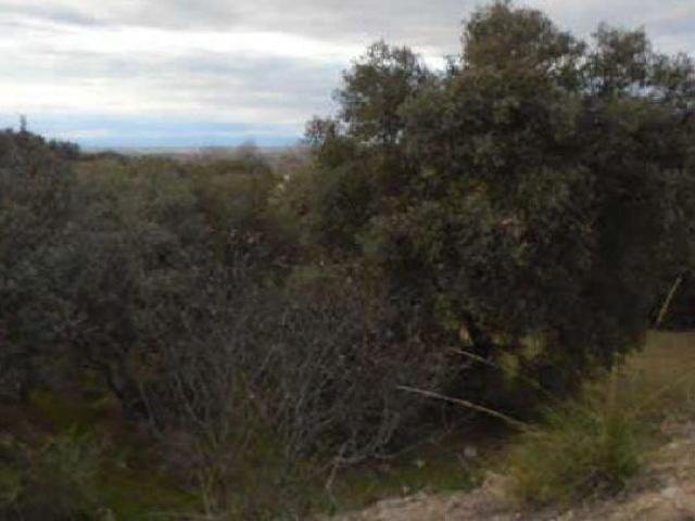 Terreno en venta en Toledo, Los Cigarrales