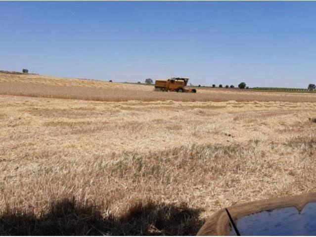 Terreno en venta en Toledo, Castilla-La Mancha