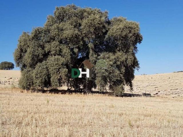 Terreno en venta en Toledo, Castilla-La Mancha