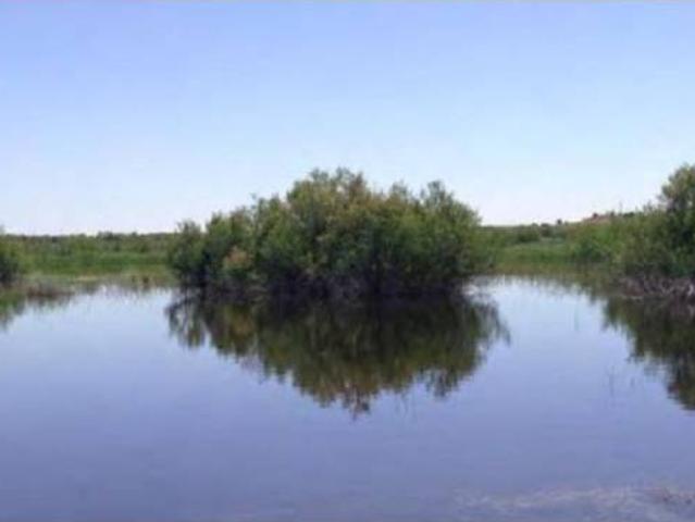 Terreno en venta en Toledo, Castilla-La Mancha