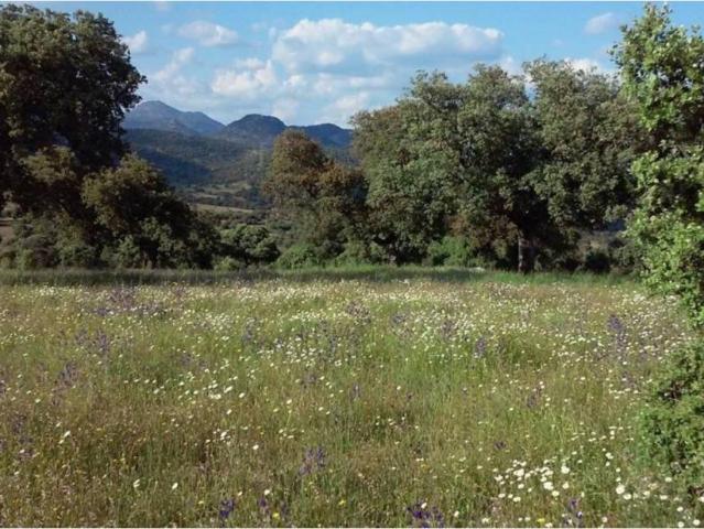 Terreno en venta en Toledo, Castilla-La Mancha