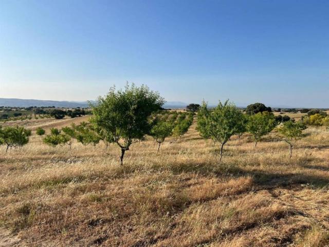 Terreno en venta en Toledo, Castilla-La Mancha