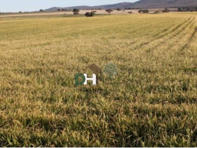 Terreno en venta en Toledo, Castilla-La Mancha