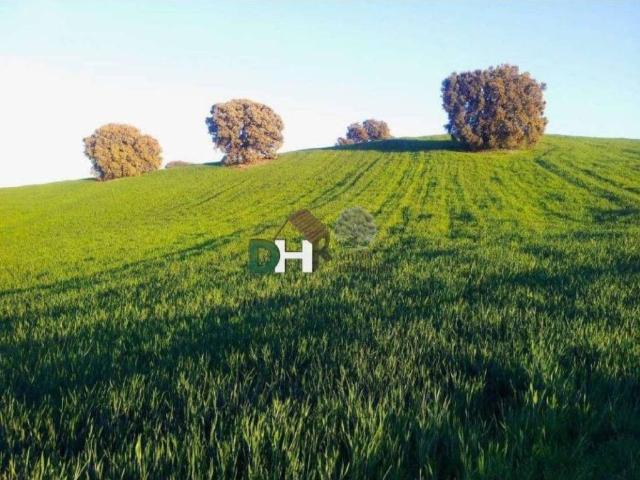 Terreno en venta en Toledo, Castilla-La Mancha