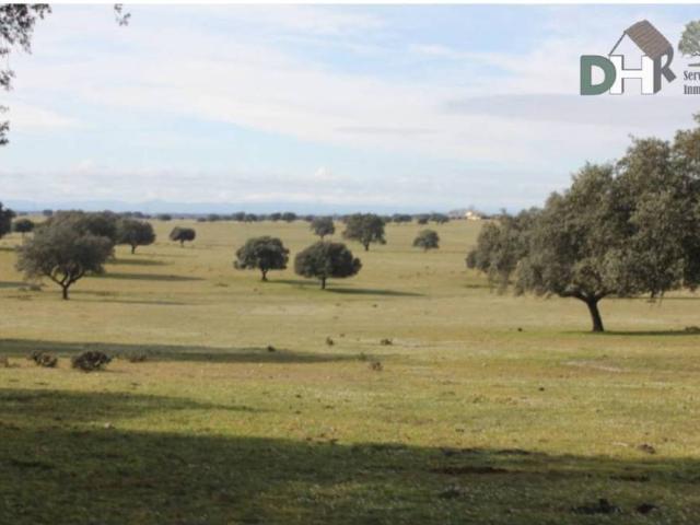 Terreno en venta en Toledo, Castilla-La Mancha