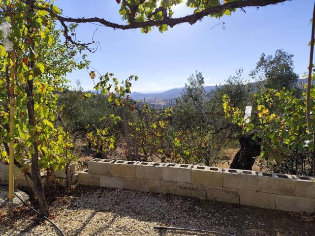 Terreno en venta en Sierra de las Nieves, Andalucía