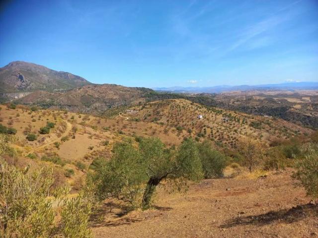 Terreno en venta en Sierra de las Nieves, Andalucía