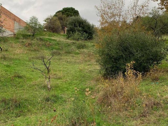 Terreno en venta en Tolox