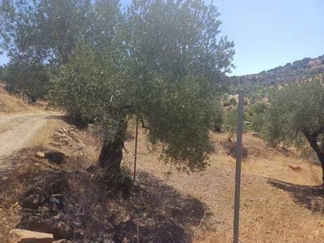 Terreno en venta en Sierra de las Nieves, Andalucía