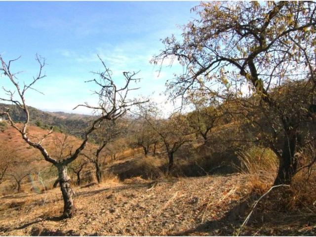 Terreno en venta en Sierra de las Nieves, Andalucía