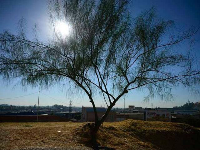 Terreno en venta en Sport Aljarafe, Tomares