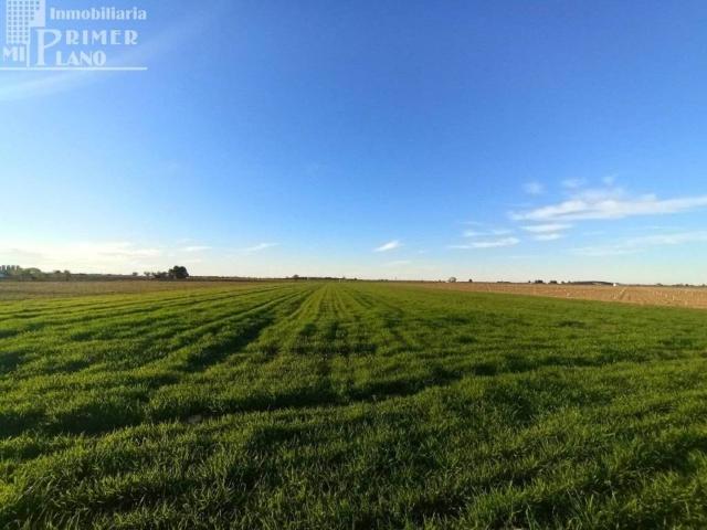 Terreno en venta en Tomelloso, Castilla-La Mancha