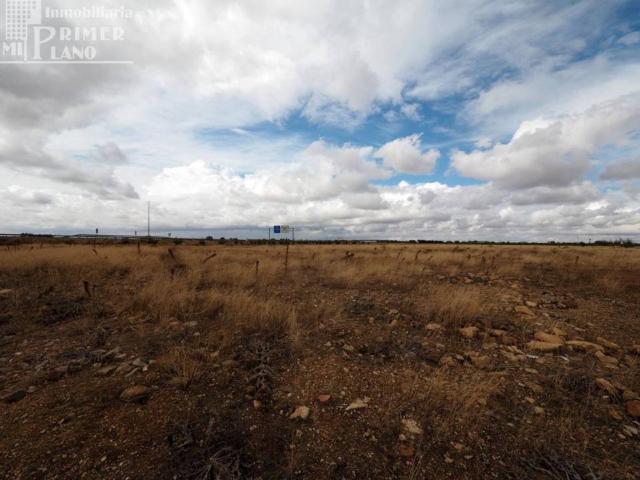 Terreno en venta en Tomelloso, Castilla-La Mancha