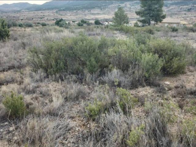 Terreno en venta en Tomelloso, Castilla-La Mancha