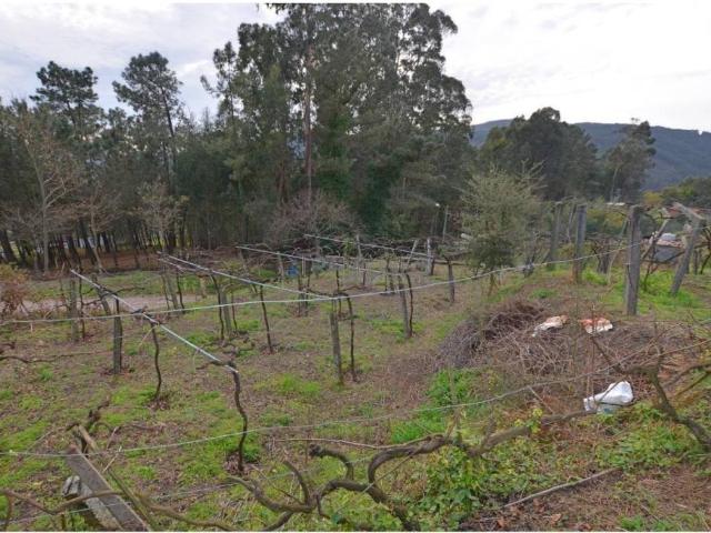 Terreno en venta en Tomiño, O Baixo Miño