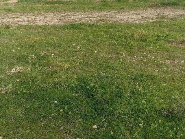 Terreno en venta en Tona, Barcelona