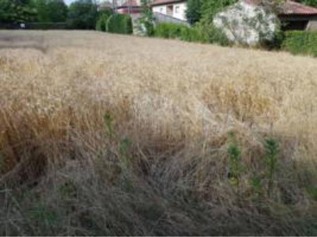 Terreno en venta en Osona, Catalunya