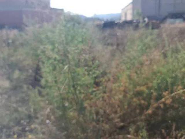 Terreno en venta en Solsonès, Catalunya