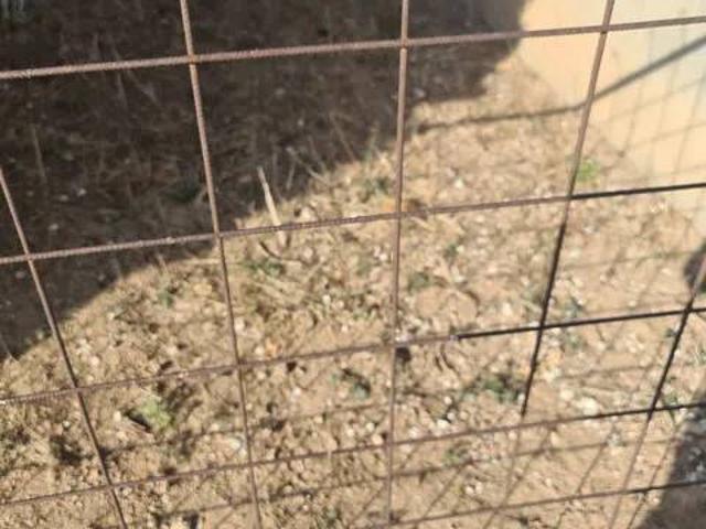 Terreno en venta en Solsonès, Catalunya