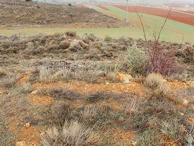 Terreno en venta en Tordellego, Castilla-La Mancha