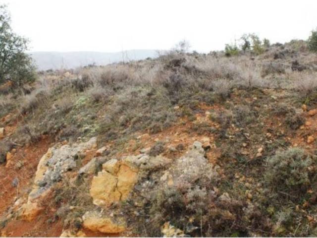 Terreno en venta en Tordellego, Castilla-La Mancha