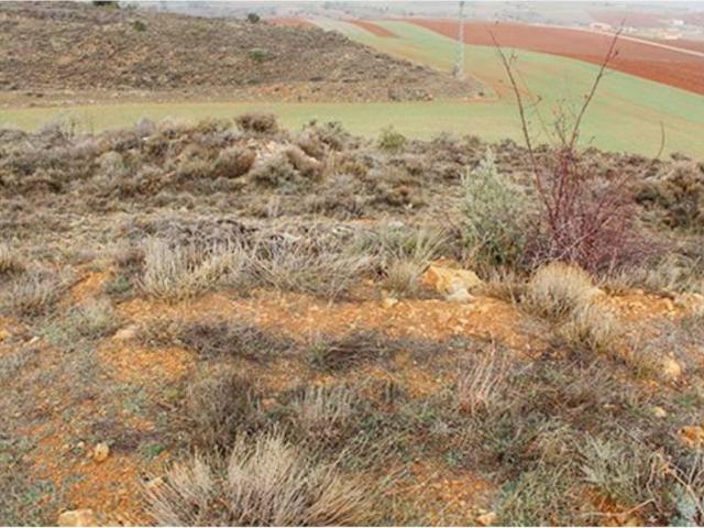 Terreno en venta en Tordellego, Castilla-La Mancha