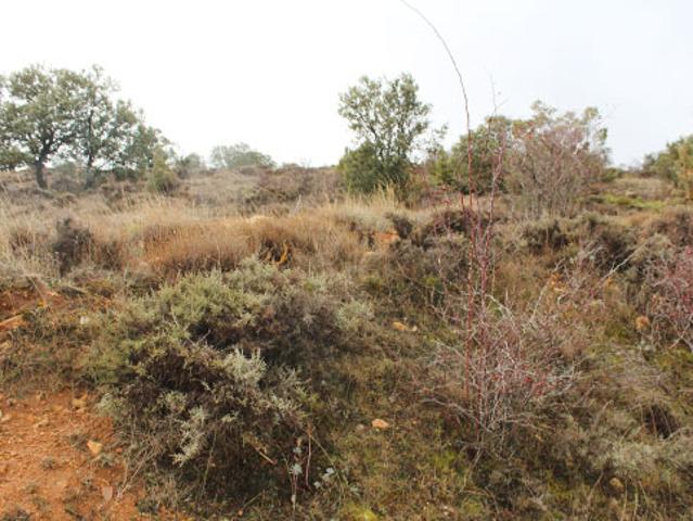 Terreno en venta en Tordellego, Castilla-La Mancha