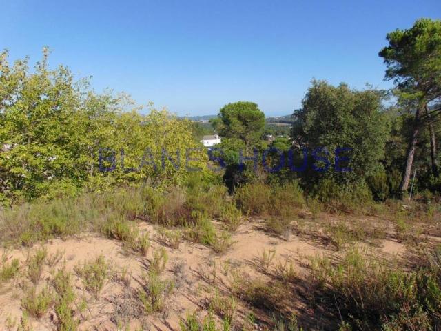 Terreno en venta en Maresme, Catalunya