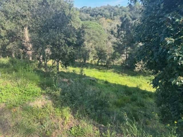 Terreno en venta en les Ferreres, Maresme