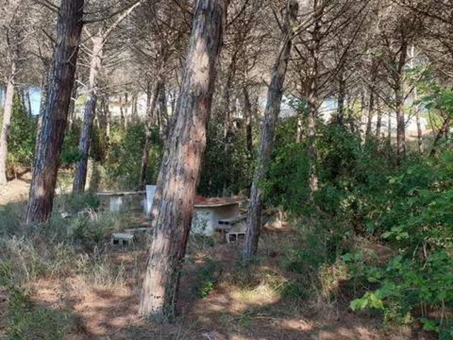 Terreno en venta en Maresme, Catalunya