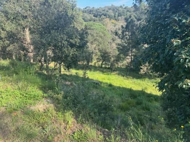 Terreno en venta en Maresme, Catalunya