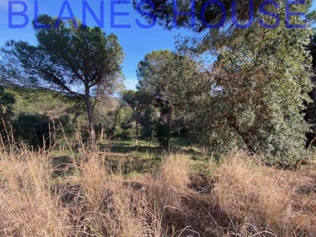 Terreno en venta en Maresme, Catalunya