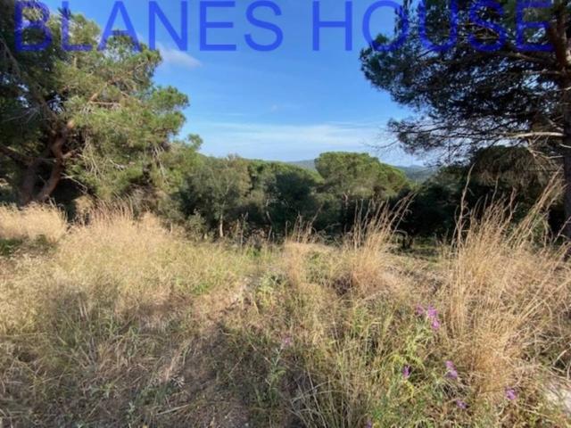 Terreno en venta en Maresme, Catalunya