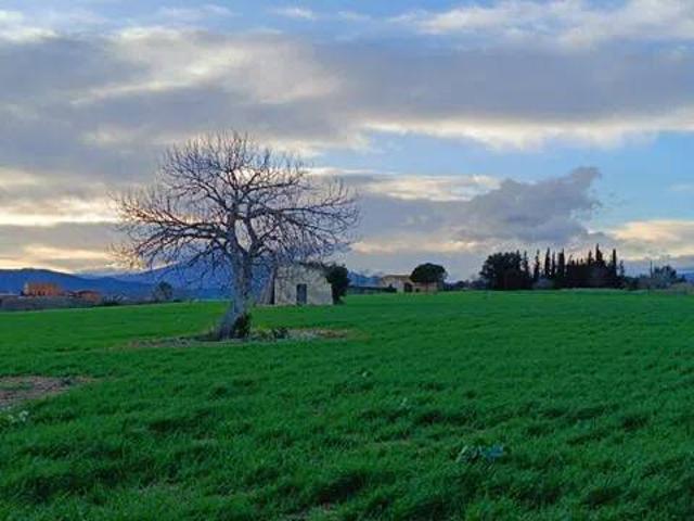 Terreno en venta en Maresme, Catalunya