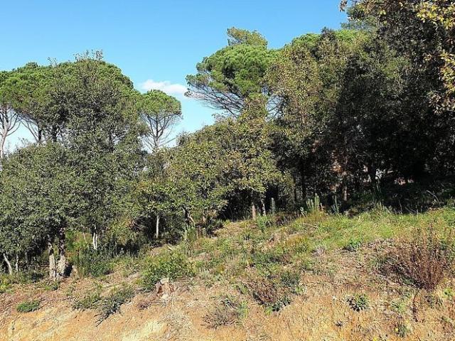 Terreno en venta en Maresme, Catalunya