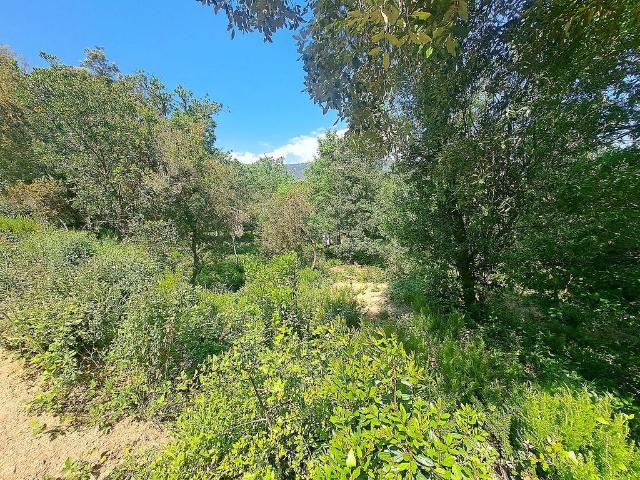 Terreno en venta en Maresme, Catalunya