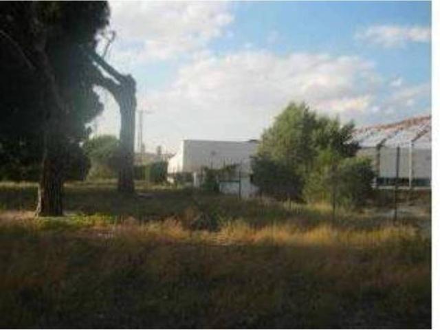 Terreno en venta en Tordesillas, Castilla y León