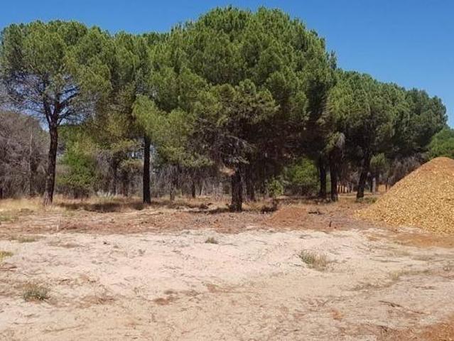 Terreno en venta en Nava Del Rey, Castilla y León