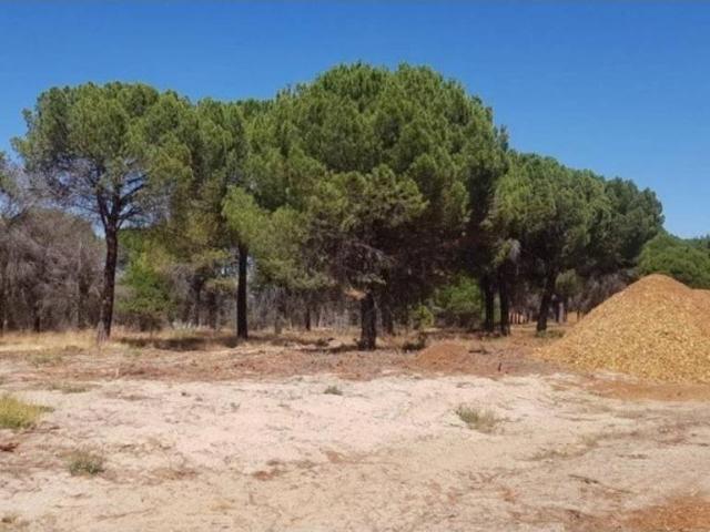 Terreno en venta en Nava Del Rey, Castilla y León