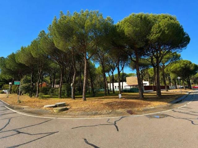 Terreno en venta en Tordesillas, Castilla y León