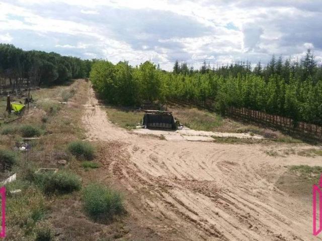 Terreno en venta en Tordesillas, Castilla y León