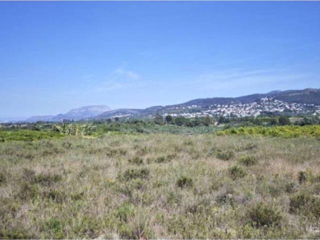 Terreno en venta en la Marina Alta, Valencia