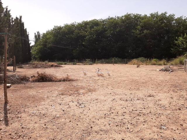 Terreno en venta en Urgell, Catalunya