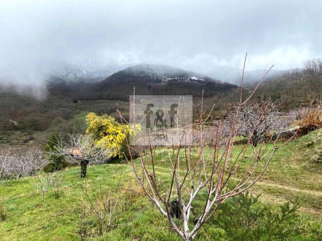 Terreno en venta en Tornavacas, Extremadura