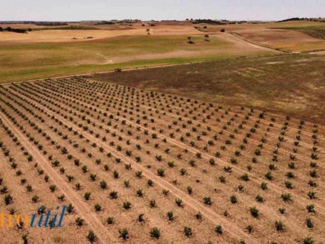 Terreno en venta en Toro, Castilla y León