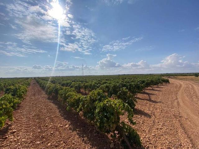 Terreno en venta en Torralba De Calatrava, Castilla-La Mancha